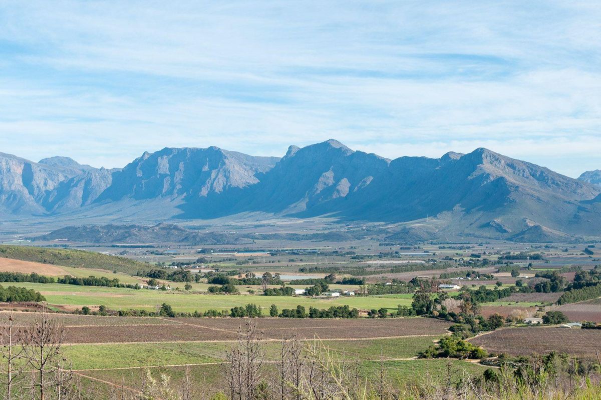Farm For Sale in Tulbagh Rural, Tulbagh - Photo 5