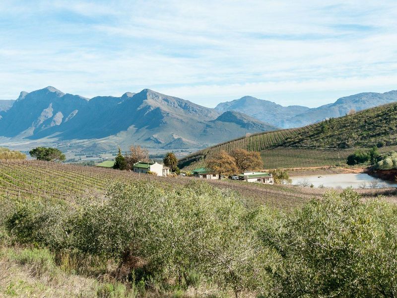 Farm For Sale in Tulbagh Rural, Tulbagh - Photo 2