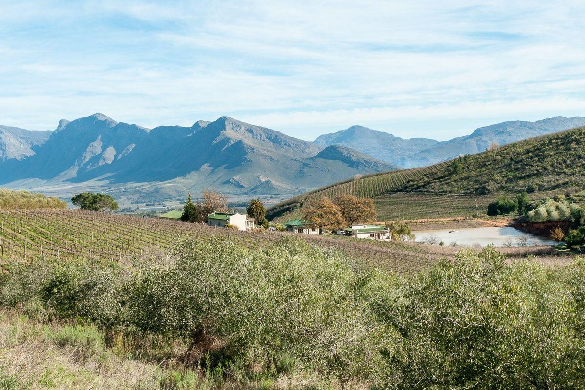 Farm For Sale in Tulbagh Rural, Tulbagh - Photo 2