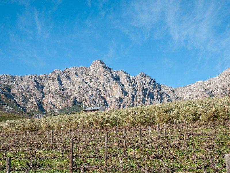 Farm For Sale in Tulbagh Rural, Tulbagh - Photo 8