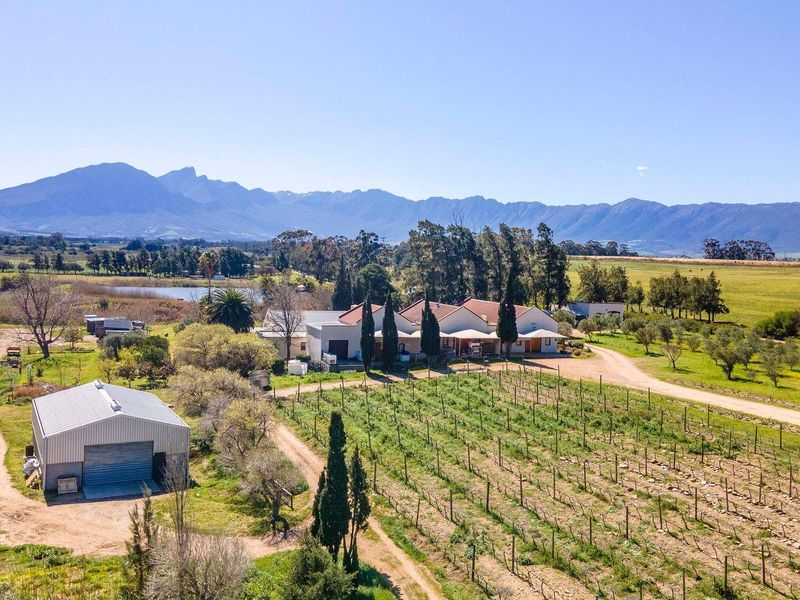 Farm For Sale in Tulbagh - Photo 2