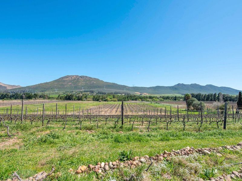 Farm For Sale in Tulbagh - Photo 9