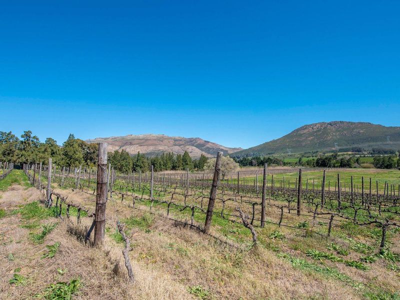 Farm For Sale in Tulbagh - Photo 8
