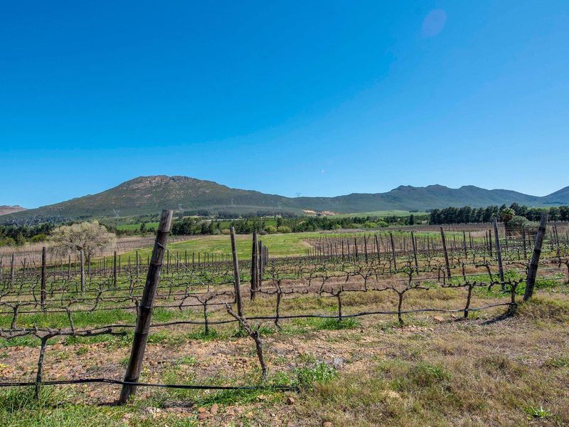 Farm For Sale in Tulbagh - Photo 7