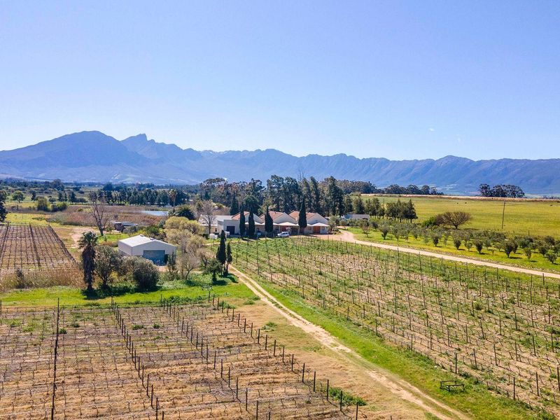 Farm For Sale in Tulbagh - Photo 5