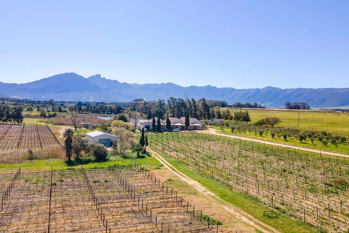 Farm For Sale in Tulbagh - Photo 5