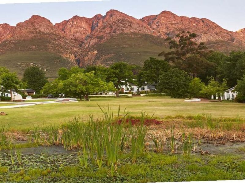 194-hectare estate offers a compelling combination of vineyard excellence and heritage significance - Photo 10