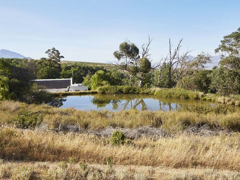 194-hectare estate offers a compelling combination of vineyard excellence and heritage significance - Photo 7