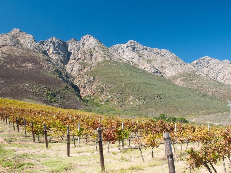 194-hectare estate offers a compelling combination of vineyard excellence and heritage significance - Photo 3