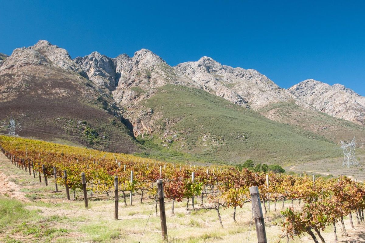 194-hectare estate offers a compelling combination of vineyard excellence and heritage significance - Photo 3