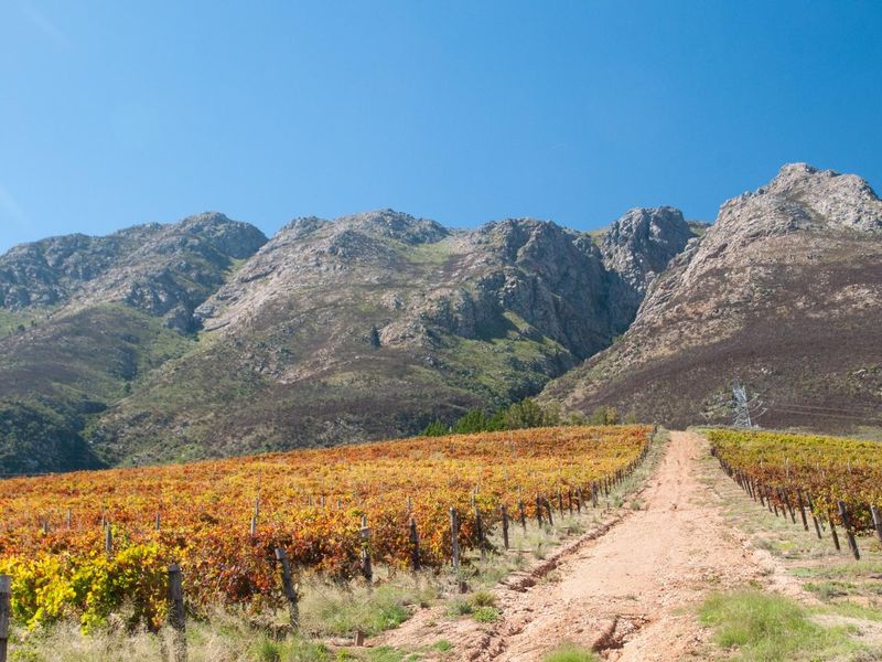 194-hectare estate offers a compelling combination of vineyard excellence and heritage significance - Photo 4