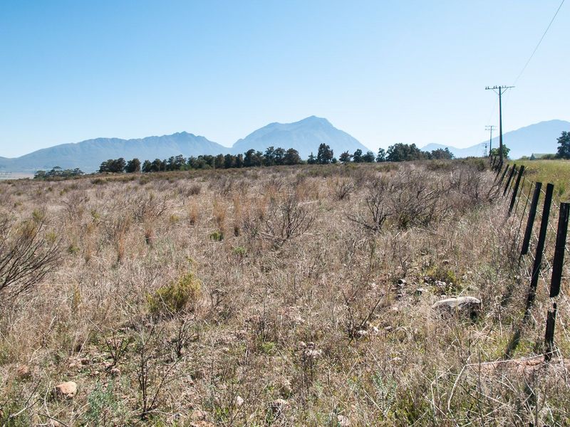 Vacant Land For Sale in Tulbaghweg, Tulbagh - Photo 10