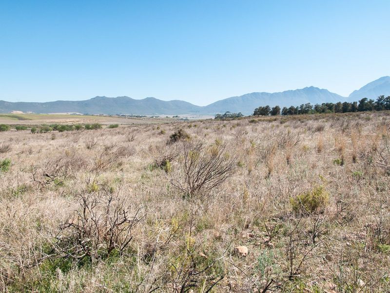 Vacant Land For Sale in Tulbaghweg, Tulbagh - Photo 9