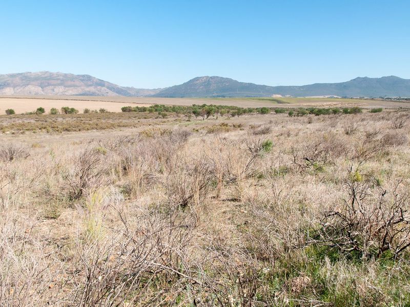 Vacant Land For Sale in Tulbaghweg, Tulbagh - Photo 8