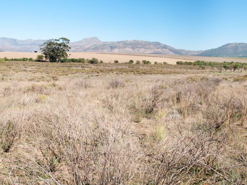 Vacant Land For Sale in Tulbaghweg, Tulbagh - Photo 7