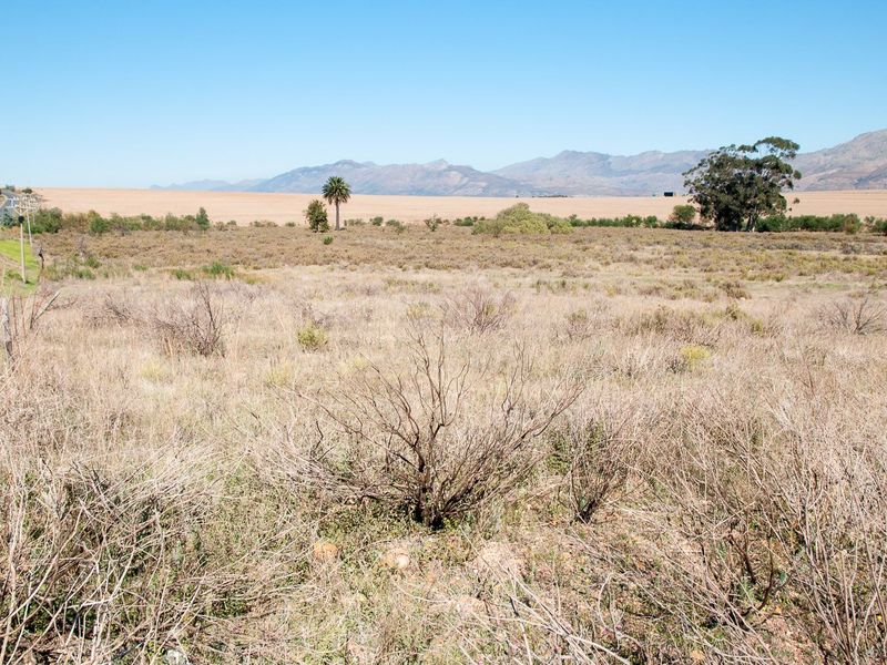 Vacant Land For Sale in Tulbaghweg, Tulbagh - Photo 6