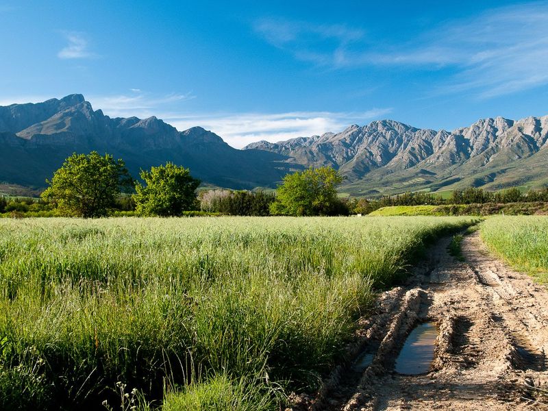 Vacant Land For Sale in Tulbaghweg, Tulbagh - Photo 2