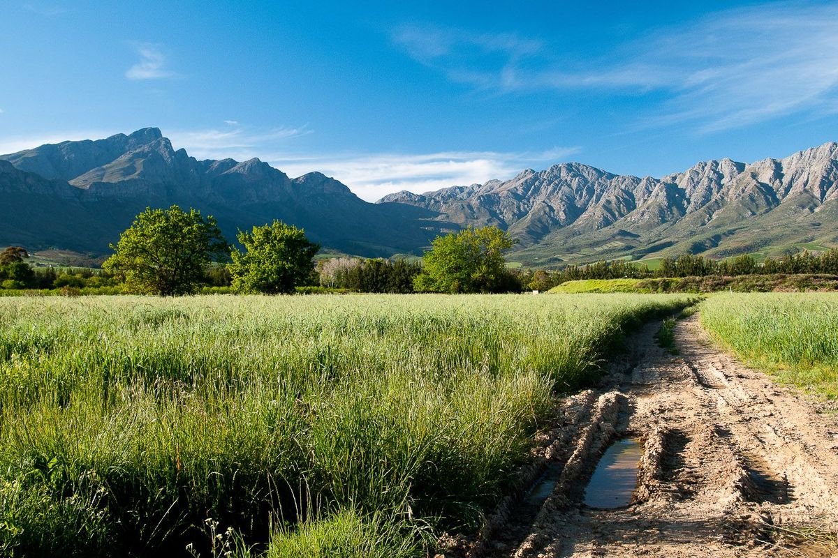 Vacant Land For Sale in Tulbaghweg, Tulbagh - Photo 2