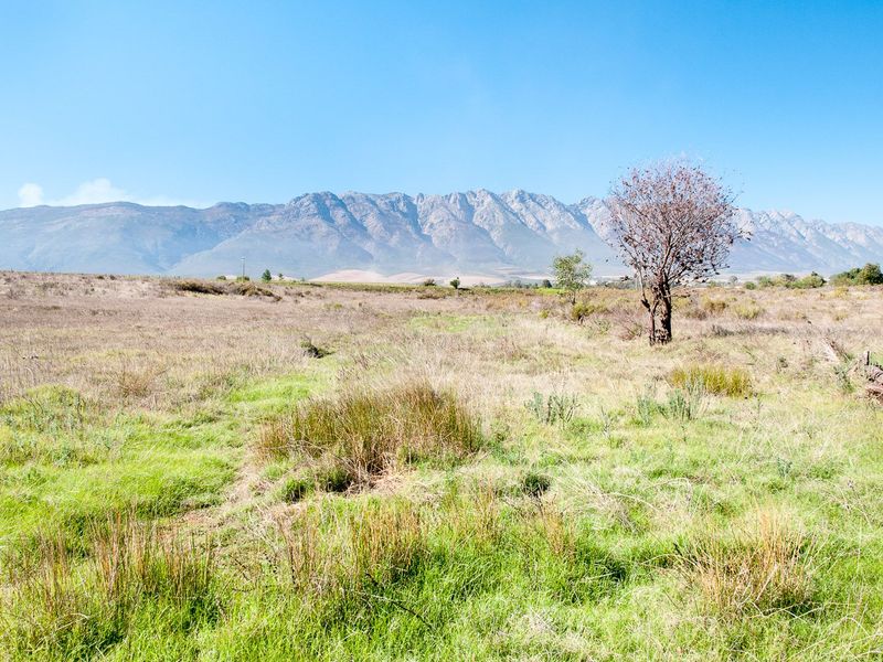 Vacant Land For Sale in Tulbaghweg, Tulbagh - Photo 5