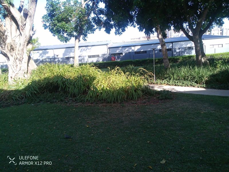 Beautiful open plan spacious apartment opposite bowling and tennis courts - Photo 3