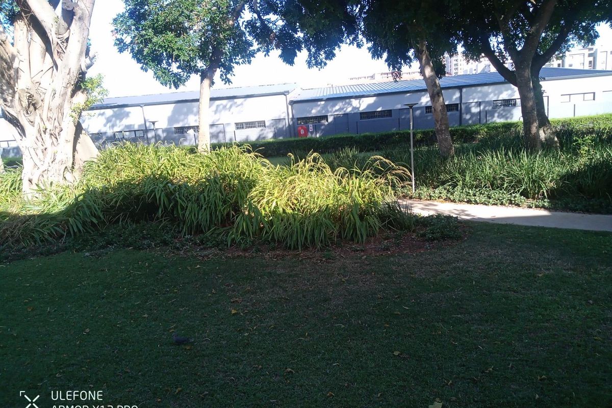 Beautiful open plan spacious apartment opposite bowling and tennis courts - Photo 3