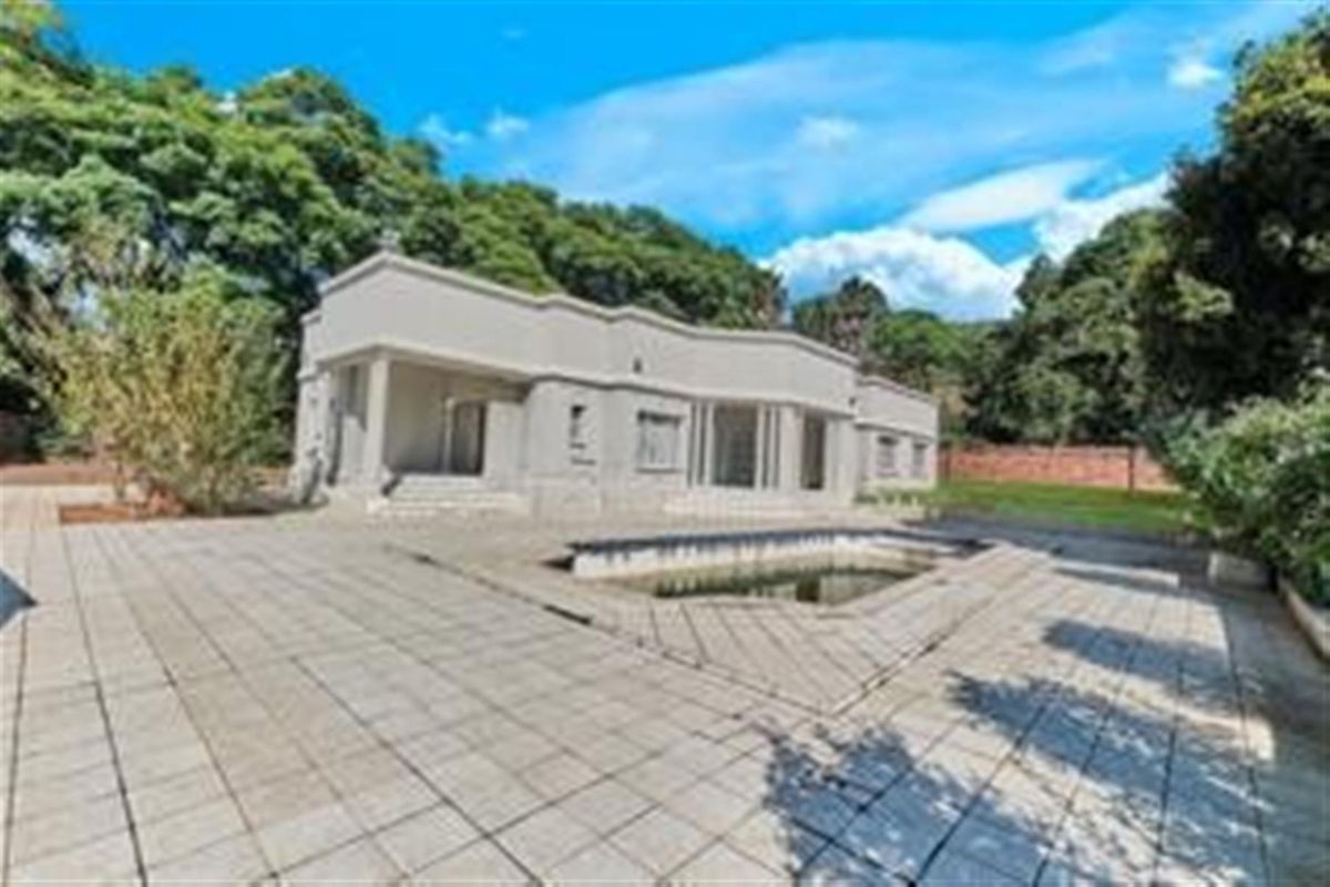 Rear view of the property featuring a paved patio area and an in-ground swimming pool set against a backdrop of mature trees.