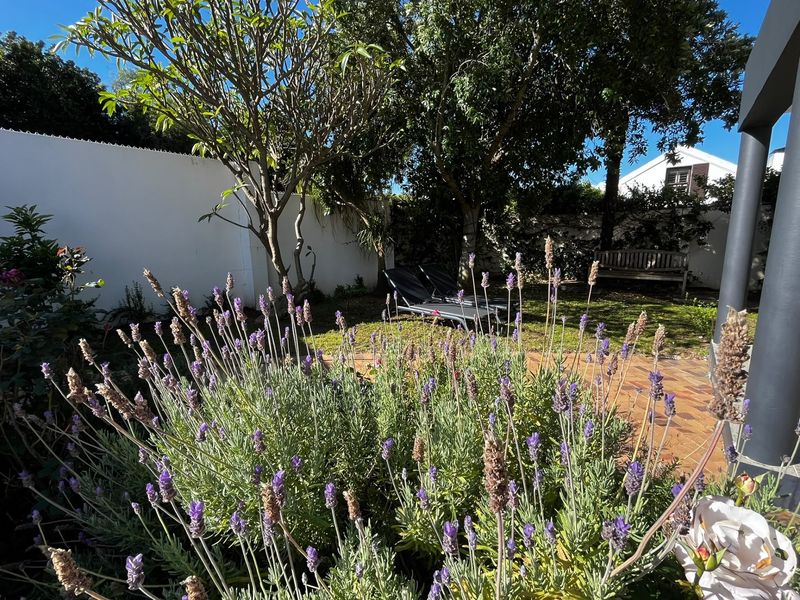 A private garden area featuring mature trees, a paved patio section, and established lavender plantings, enclosed by a boundary wall.