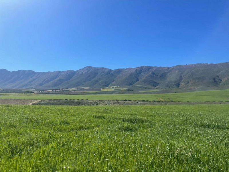 Farm For Sale in Tulbagh Rural, Tulbagh - Photo 6