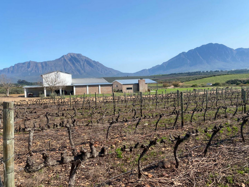 Farm For Sale in Tulbagh Rural, Tulbagh - Photo 4