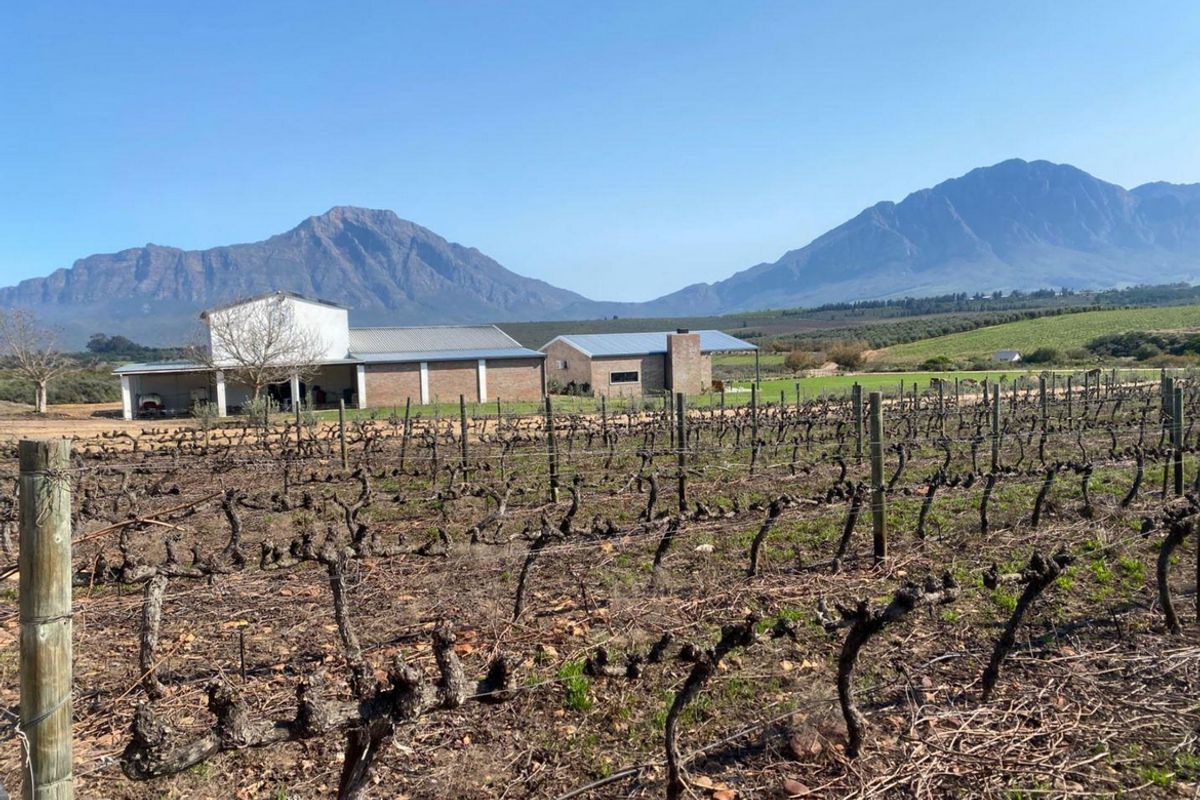 Farm For Sale in Tulbagh Rural, Tulbagh - Photo 4