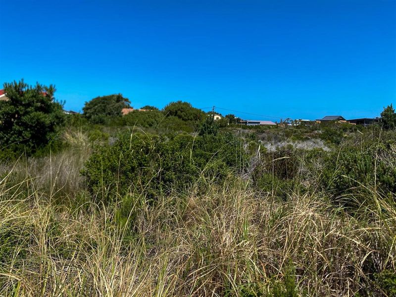 Vacant Stand - 1457sQm - Build Your Dream in Beautiful Betty’s Bay! - Photo 6
