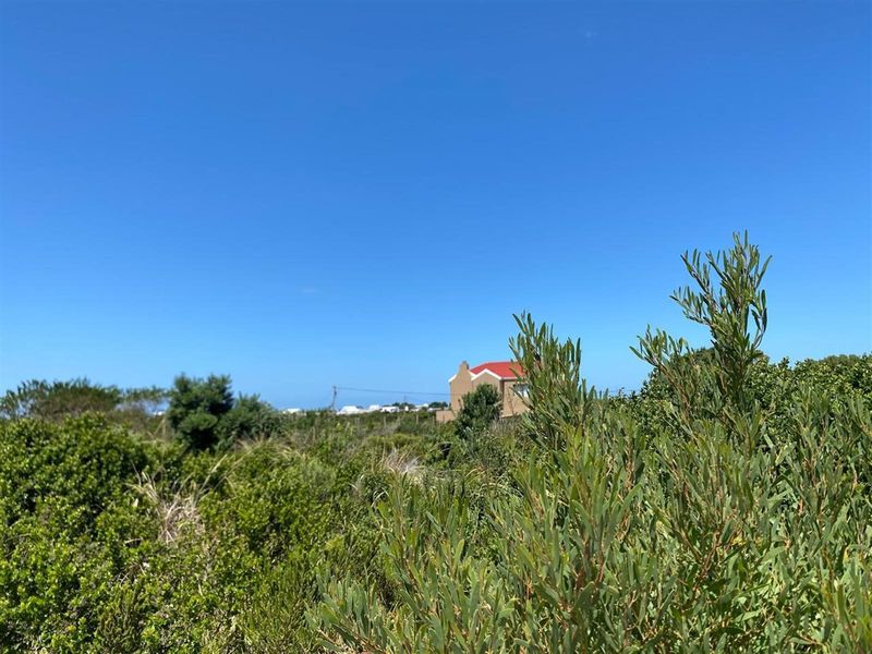 Vacant Stand - 1457sQm - Build Your Dream in Beautiful Betty’s Bay! - Photo 9
