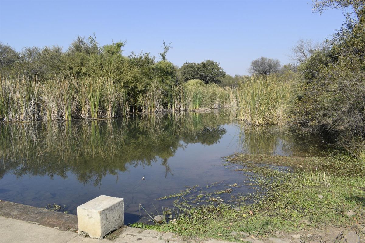 Mountain view vacant plot for sale in Blyde Wildlife Estate, Hoedspruit - Photo 5