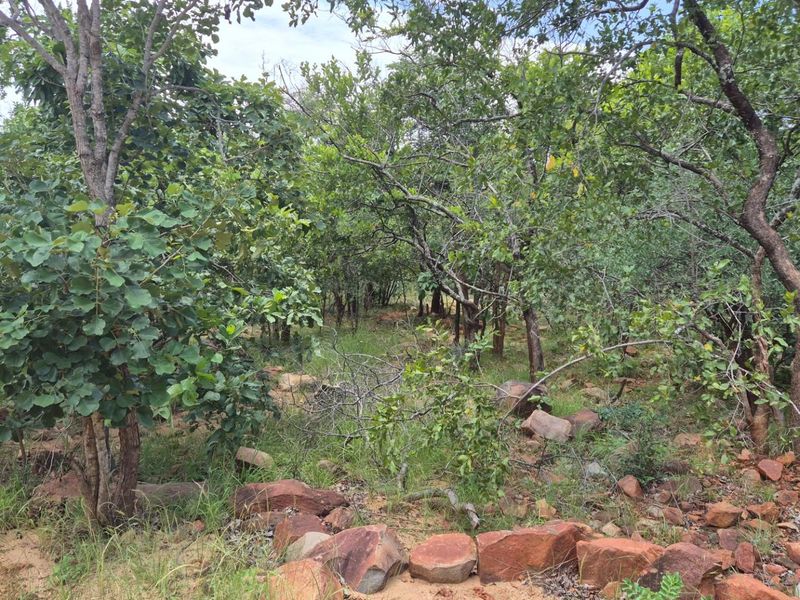 Vacant Land with Limpopo View  For Sale in Canyon Game Reserve, Hoedspruit - Photo 3