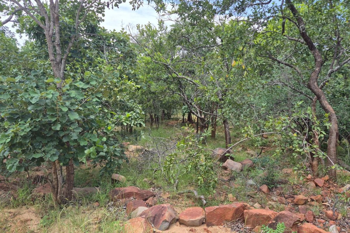Vacant Land with Limpopo View  For Sale in Canyon Game Reserve, Hoedspruit - Photo 3