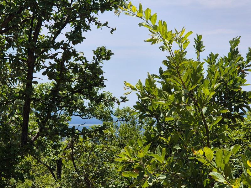 Vacant Land with Limpopo View  For Sale in Canyon Game Reserve, Hoedspruit - Photo 9