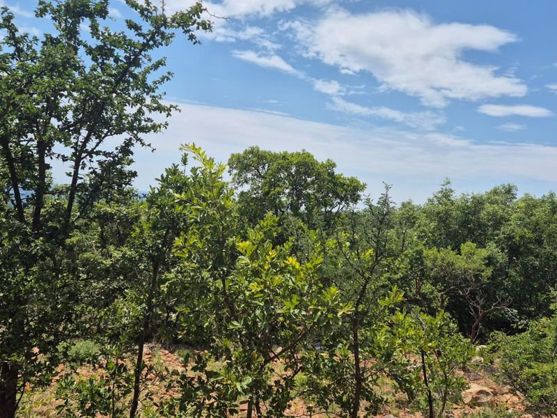 Vacant Land with Limpopo View  For Sale in Canyon Game Reserve, Hoedspruit - Photo 8
