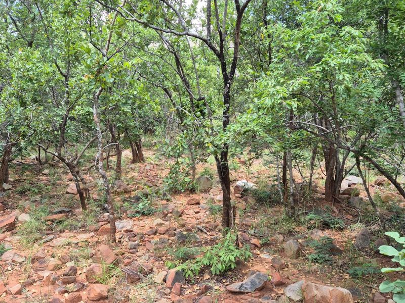 Vacant Land with Limpopo View  For Sale in Canyon Game Reserve, Hoedspruit - Photo 5