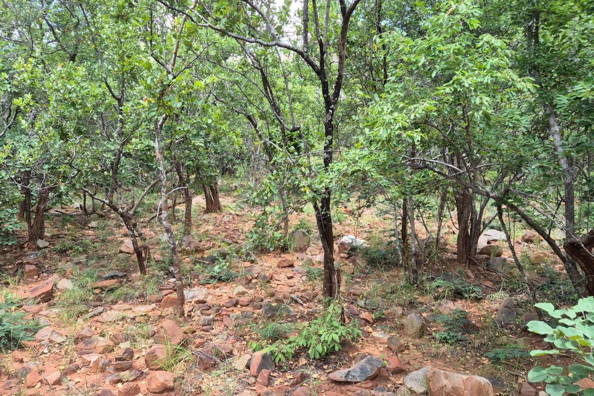 Vacant Land with Limpopo View  For Sale in Canyon Game Reserve, Hoedspruit - Photo 5