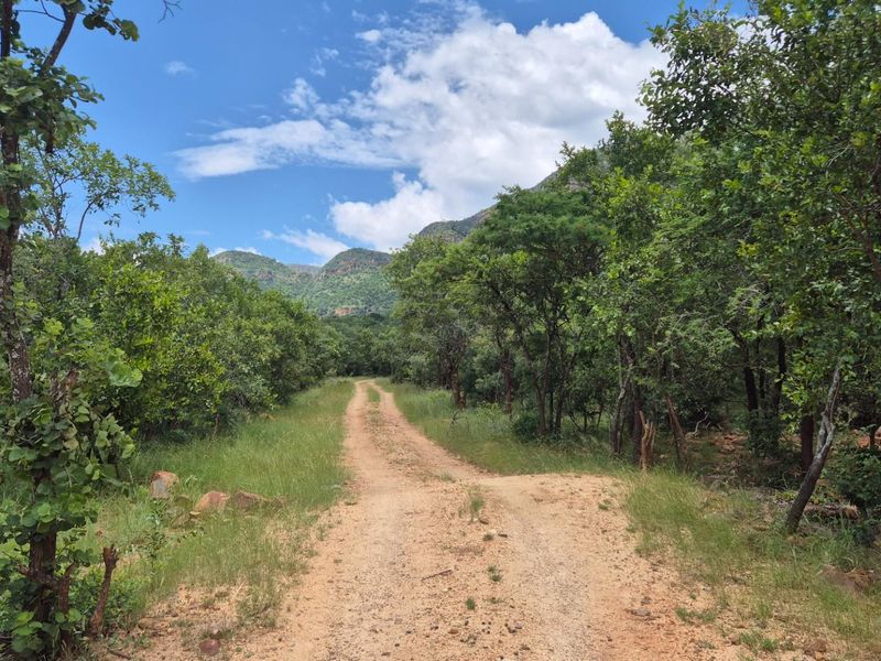 Vacant Land with Limpopo View  For Sale in Canyon Game Reserve, Hoedspruit - Photo 2