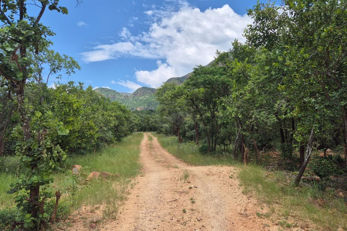 Vacant Land with Limpopo View  For Sale in Canyon Game Reserve, Hoedspruit - Photo 2