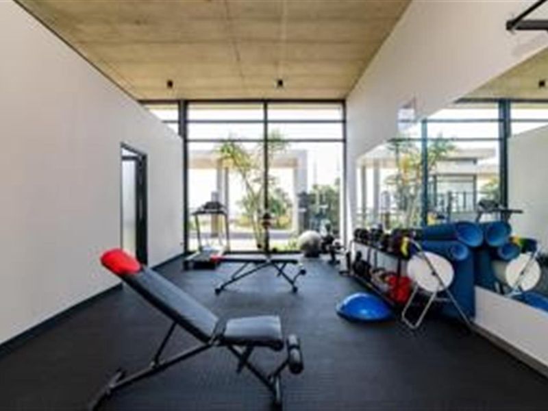 A modern, well-maintained gym featuring exposed concrete ceilings, full-length wall mirrors, durable rubber flooring, and large windows providing ample natural light.