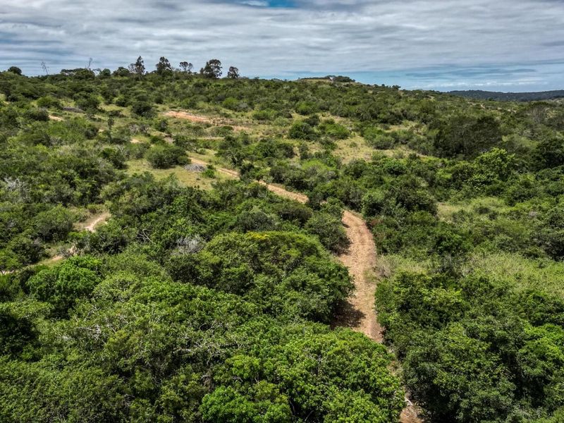 87.9ha Blank Canvas Near East London - Photo 3