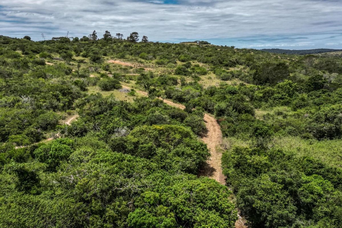 87.9ha Blank Canvas Near East London - Photo 3