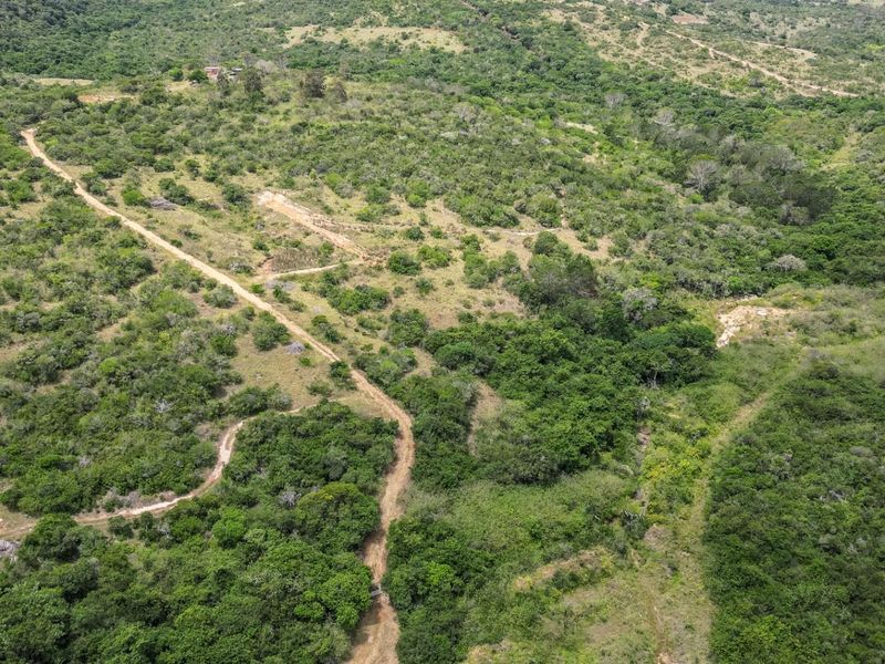 87.9ha Blank Canvas Near East London - Photo 9