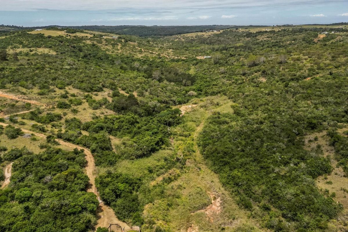 87.9ha Blank Canvas Near East London - Photo 5