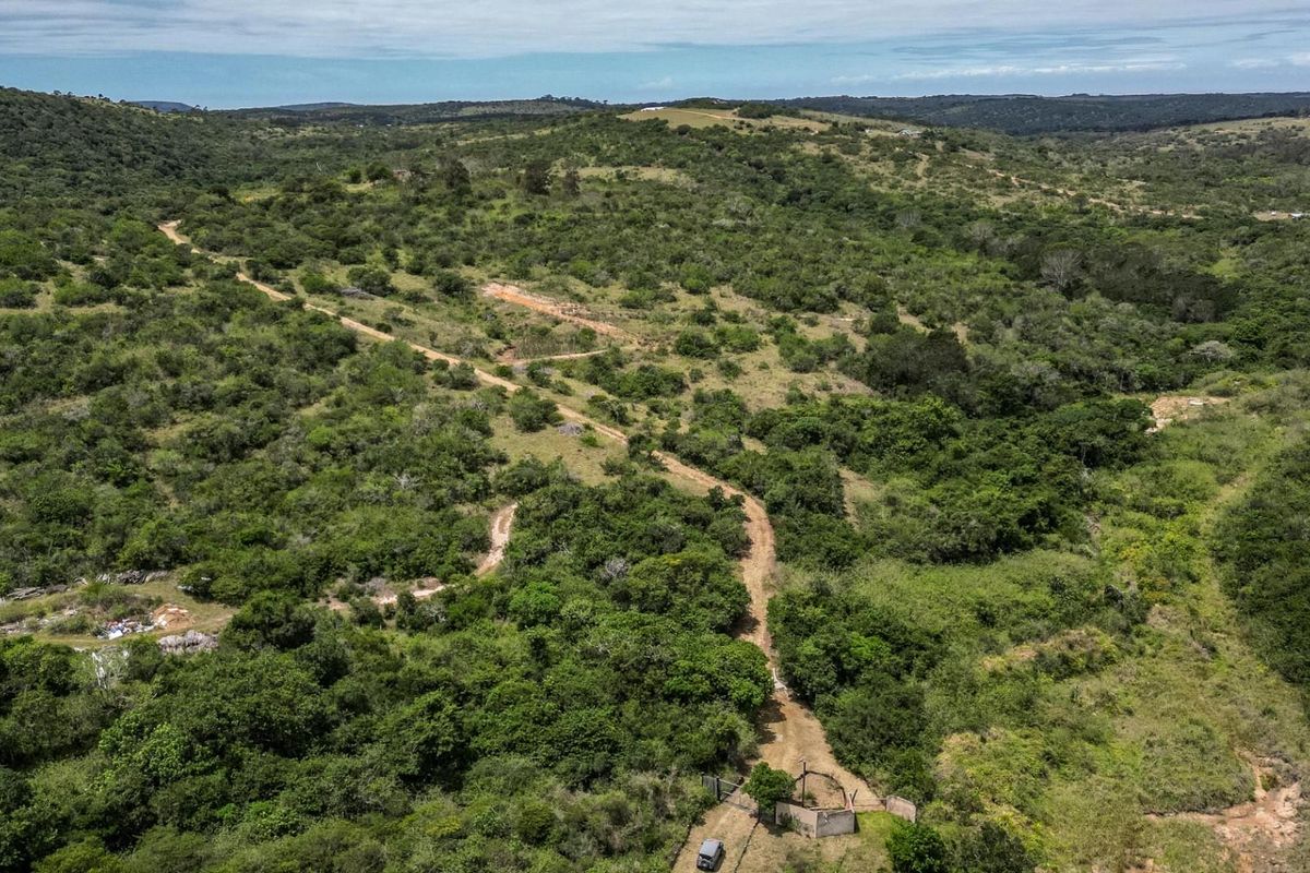 87.9ha Blank Canvas Near East London - Photo 4