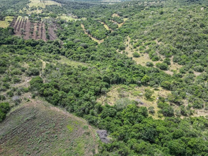 87.9ha Blank Canvas Near East London - Photo 6