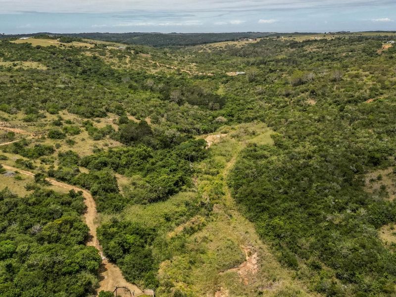 87.9ha Blank Canvas Near East London - Photo 4