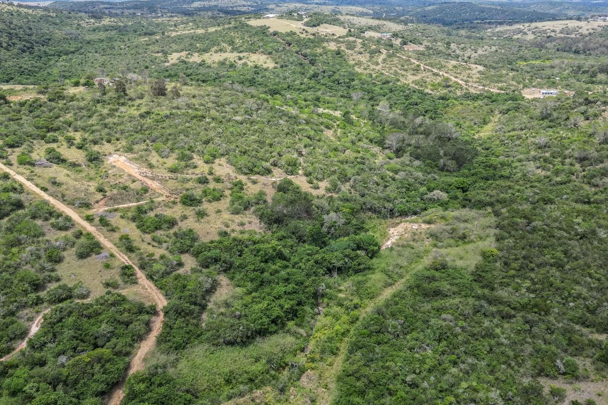 An expansive aerial view of the farm property, showcasing the natural landscape, dense vegetation, and existing dirt access tracks.